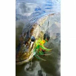 Spro IRIS Thrillseeker Roach 14gr – #4/0 -Softbaits Verkoop 1387749Spro Iris Thrillseeker 10cm 14gr 3 1 2