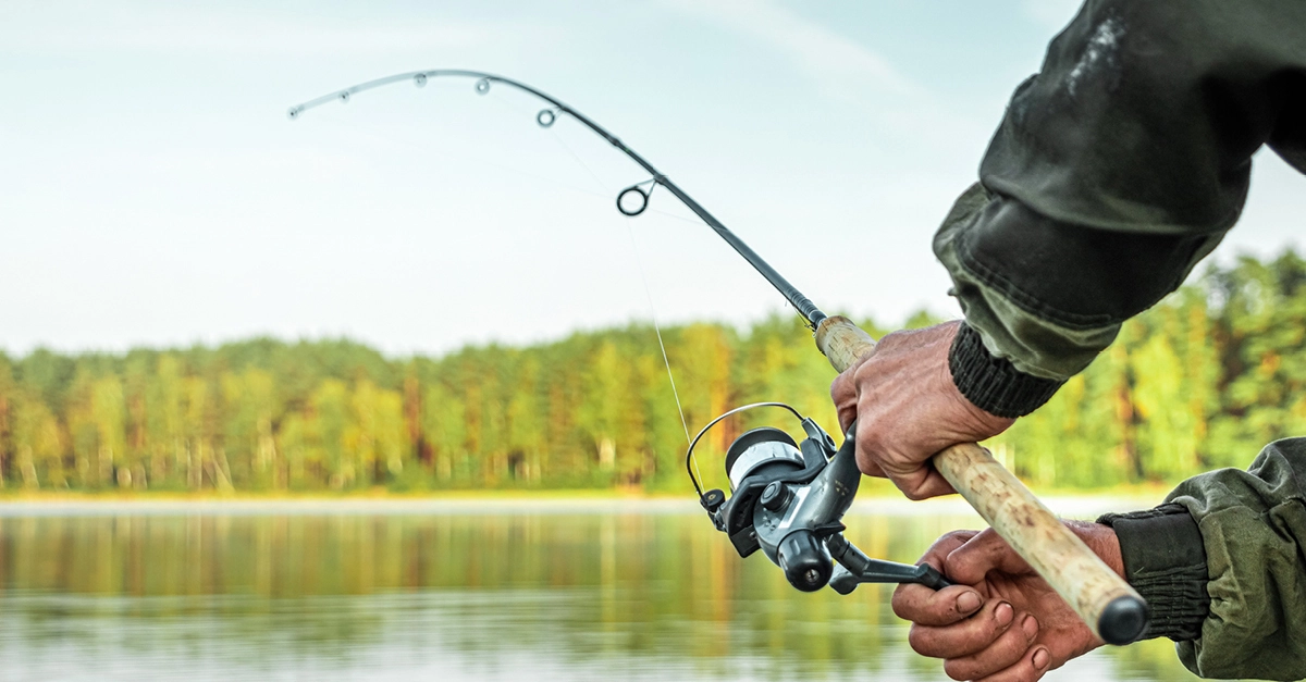 Softbaits Verkoop 34 Softbaits Verkoop -Softbaits Verkoop 16