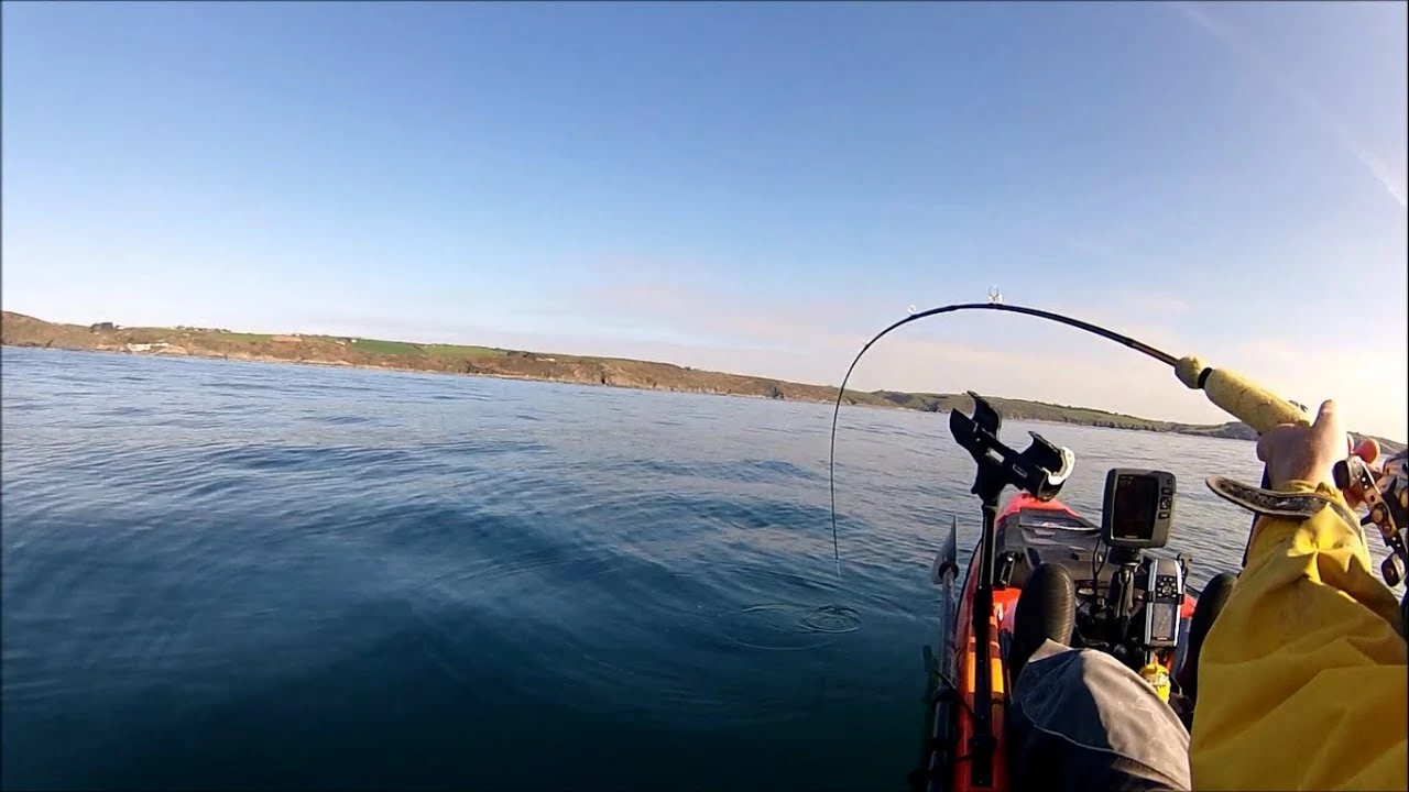 Softbaits Verkoop -Softbaits Verkoop 67