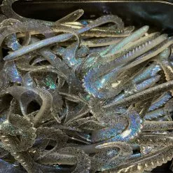 Gators Electric Ghost (100stuks)