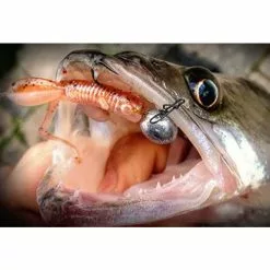 FreeStyle Urban Prey – Hog 70 Goby -Softbaits Verkoop hog