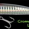 Grauvell JINZA SENSEI F Crome Red Head 12 Cm